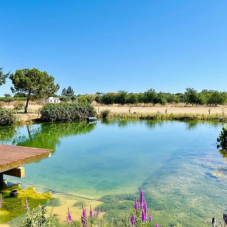 Glamping On Organic Yoga Farm With Natural Swimming Pool Near Beach Moncarapacho Exteriör bild